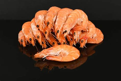 Shrimp Isolated Acrylic Black Background High Resolution Photo Full