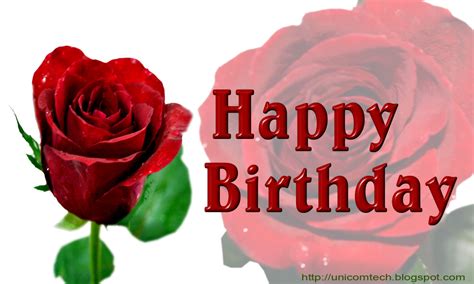 Happy Birthday Red Rose