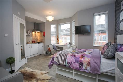 1 bedroom studio, clean, comfortable. 1 Bedroom Studio Let in Luton, LU1