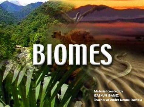 What Is Biomes Definition Types Classification Of Biomes Eschool