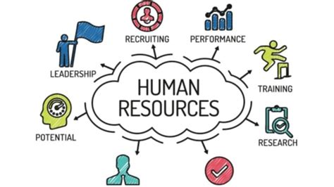 Best Human Resource Management Solutions And Practices By Rdmtmr Fiverr