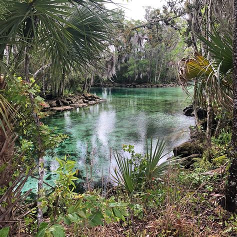 Three Sisters Springs Crystal River All You Need To Know Before You Go