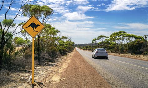 Reglas De Tráfico En Australia Todo Lo Que Necesitas Saber