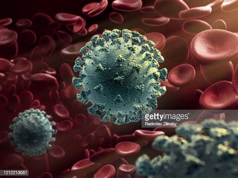 White Blood Cells Virus Photos And Premium High Res Pictures Getty Images