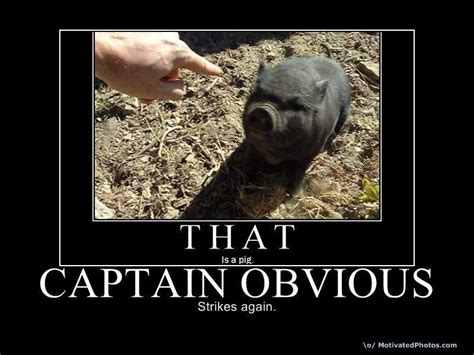 Image 67034 Captain Obvious Know Your Meme