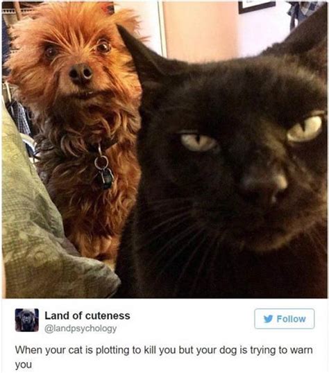 35 Funny Pics And Memes ~ The Crazy Cool And Hilarious