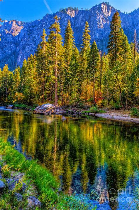 Reflections On The Merced River Yosemite National Park Photograph