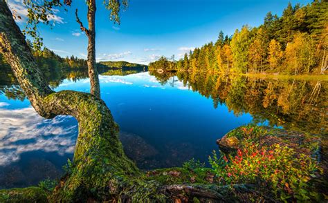 Wallpaper Landscape Forest Lake Nature Reflection Wilderness