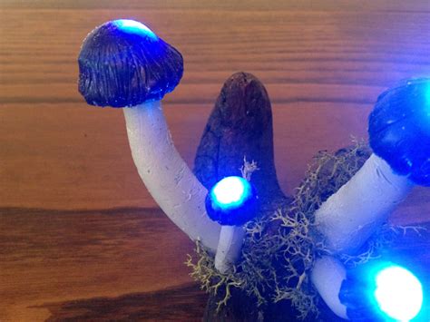 Decorative Glowing Mushrooms Led Lamp By Fernahandmade On Etsy