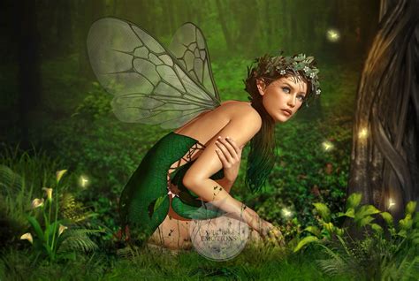 Fairy Wallpapers Pictures Images