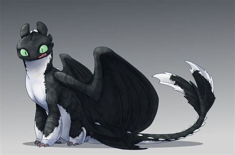 Pin By Gabriela Menezes On Fic How Train Your Dragon Toothless And