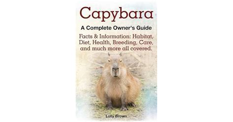 Capybara Facts And Information Habitat Diet Health Breeding Care