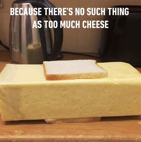 Because There S No Such Thing As Too Much Cheese Daily Jokes Cheesy Memes Facebook Humor