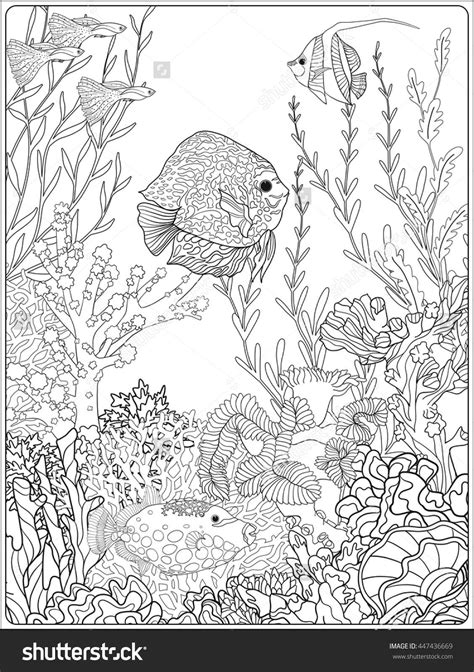Adult Coloring Book Coloring Page With Underwater World Coral Reef