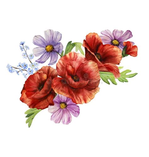 Flower Watercolor Illustration Botanical Illustration Isolated Bouquet