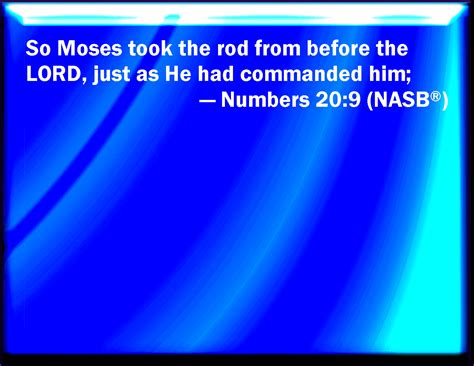 Numbers 209 And Moses Took The Rod From Before The Lord As He