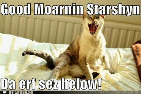 Gliddy glub gloopy, nibby nabby noopy la, la, la, lo, lo sabba sibby sabba, nooby abba nabba, le, le, lo. Good morning Starshine. The earth says hello. | Cat quotes ...