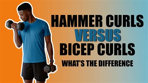 Hammer Curls Vs Bicep Curls 2 Clear Differences For Biceps