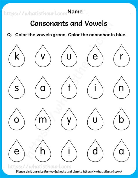 Worksheets On Consonants And Vowels For Grade 1 3 Your Home Teacher