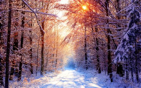 Beautiful Winter Backgrounds 51 Images