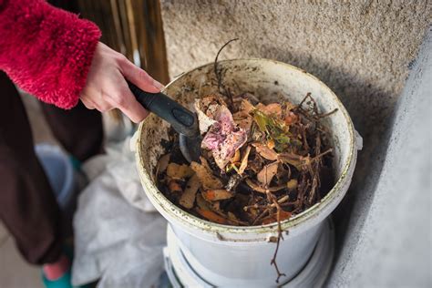 4 Formas Diferentes De Hacer Compost En Casa La Red Hispana