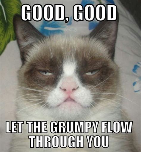 Good Good Let The Grumpy Flow Through You With Images Grumpy Cat