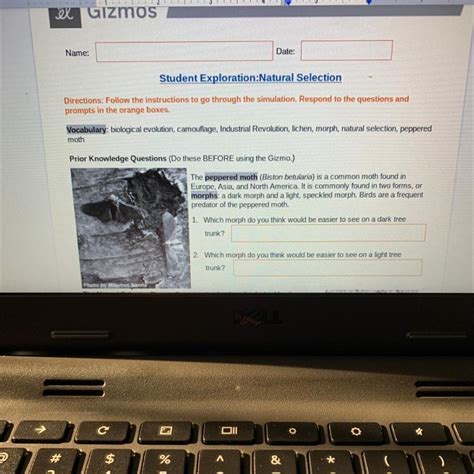 If possible, discuss your answer with your classmates and teacher. Natural Selection Gizmos Answers : Natural Selection Gizmo ...