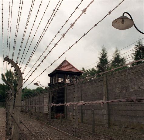 Holocaust Mengele And Co Ärzte Im Kz Auschwitz Bilder And Fotos Welt