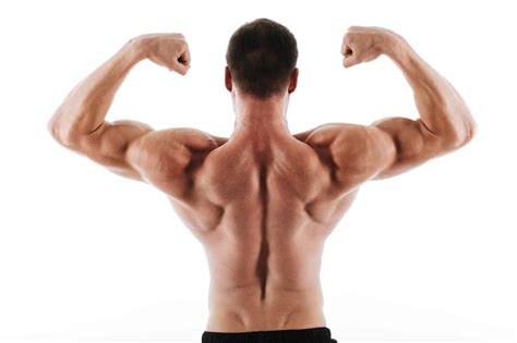 13 Best Rear Delt Exercises With Videos