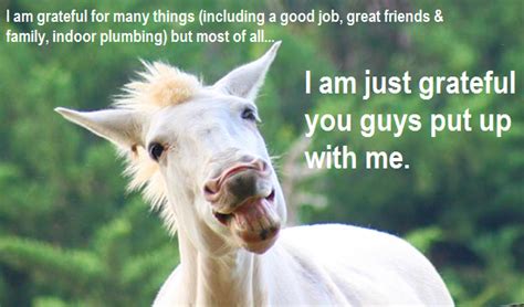 We did not find results for: North Horse: Nolan Auction Report & Free Horse Roundup