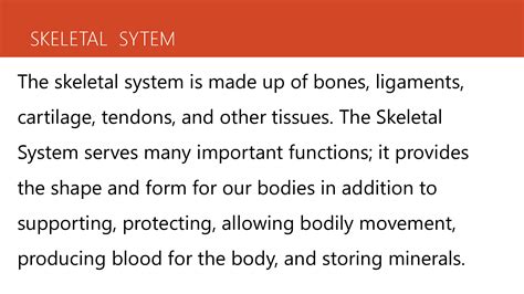 Solution Lesson 6 The Skeletal System Presentation Studypool