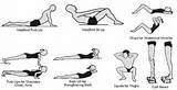 Pictures of Muscular Fitness Exercises