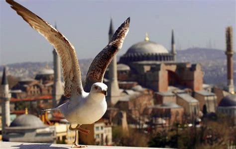 My Turkey Adventure Tours Istanbul 2020 All You Need To Know