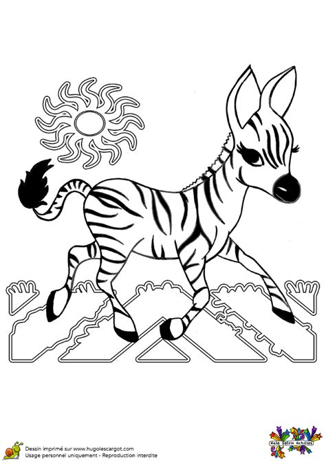 Coloriage Bebe Zebre Sur