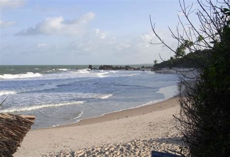 Naturista Picture Of Praia De Tambaba Conde Tripadvisor