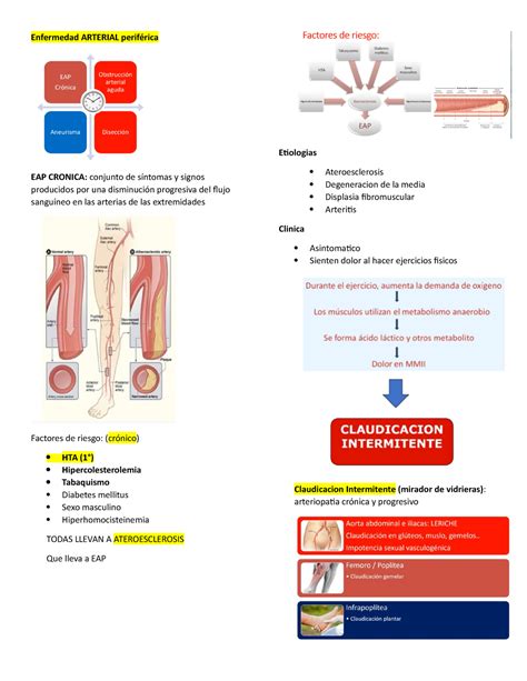 17 Enf Arterial Periferica Pulsos Peirferico Aorta Enfermedad