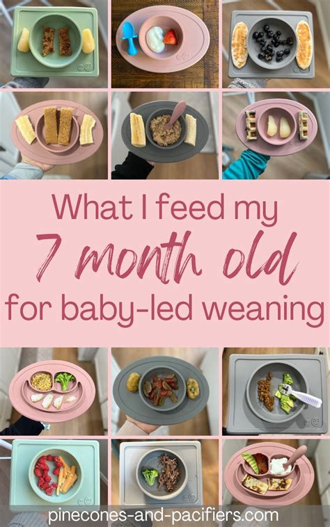 How To Wean Your Child From Tube Feedings To Eating By Mouth Artofit