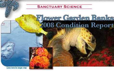 National Marine Sanctuaries Condition Reports Flower