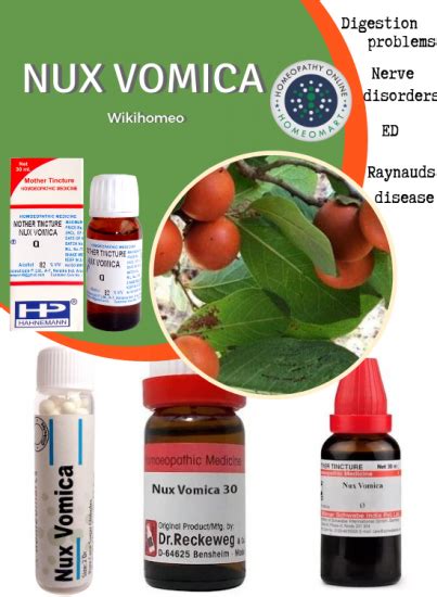 Urine which was light yellow to golden yellow had changed to normal colour. Compendious on Nux Vomica ; Indications, benefits, dosage ...