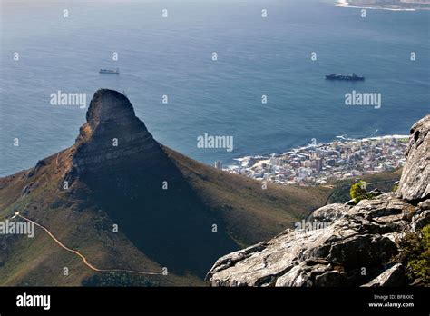 View Of Cape Town And Lions Head Ridge From Table Mountain South