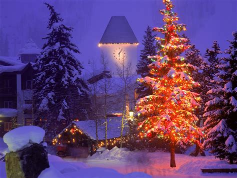 Beautiful Christmas Tree Wallpapers 37