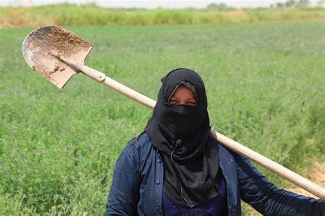 Fatima and Her Sons: A Story of Patience, Perseverance, and New