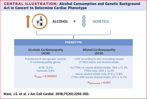 Genetic Etiology For Alcohol Induced Cardiac Toxicity Journal Of The