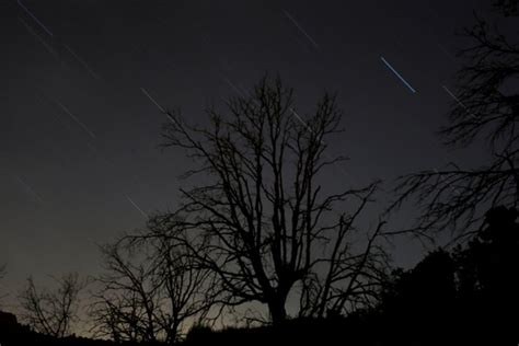 Perseid Meteor Shower 2017 Where And How To Watch Shooting Stars Live