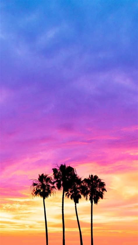 Matt Crump Photography Pastel Iphone Wallpaper Sunset Palm Trees