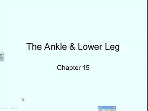 Hesm 381 Chapter 15 The Ankle And Lower Leg