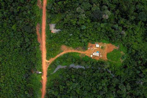 Indigenous Peoples Key To Saving Threatened Forests Earth Ledger
