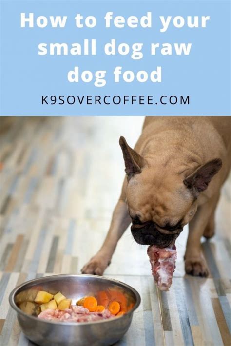 Homemade Raw Dog Food K9sovercoffee Raw Dog Food