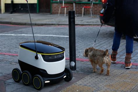 City and county of san francisco human services agency. San Francisco ready to permit robots on city sidewalks ...