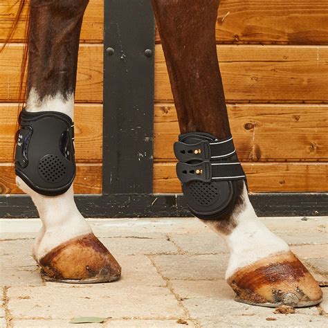 Back On Track Royal Fetlock Hind Horse Boots Pair Riding Warehouse